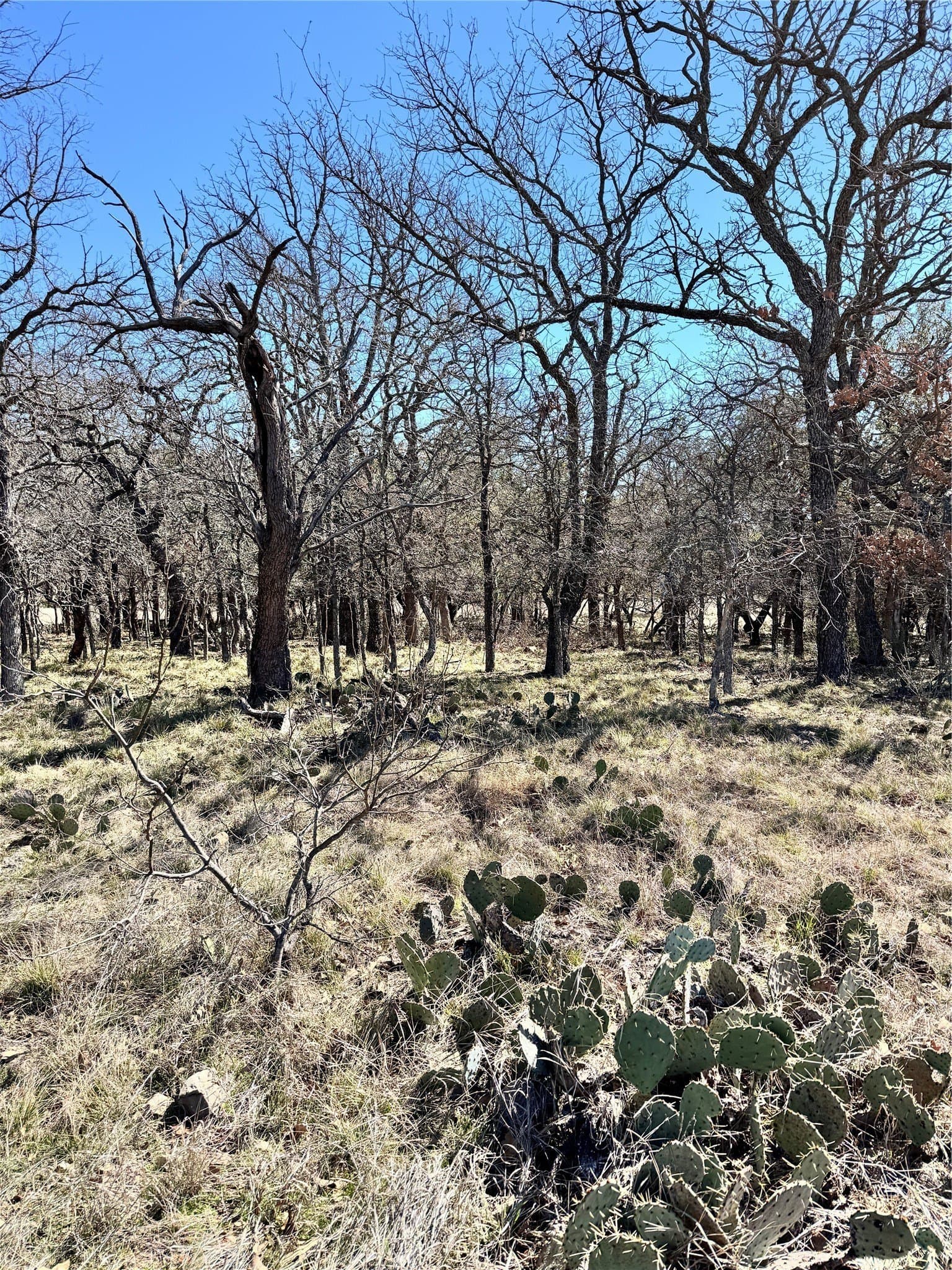 0.51 acres in Brown County - photo 9