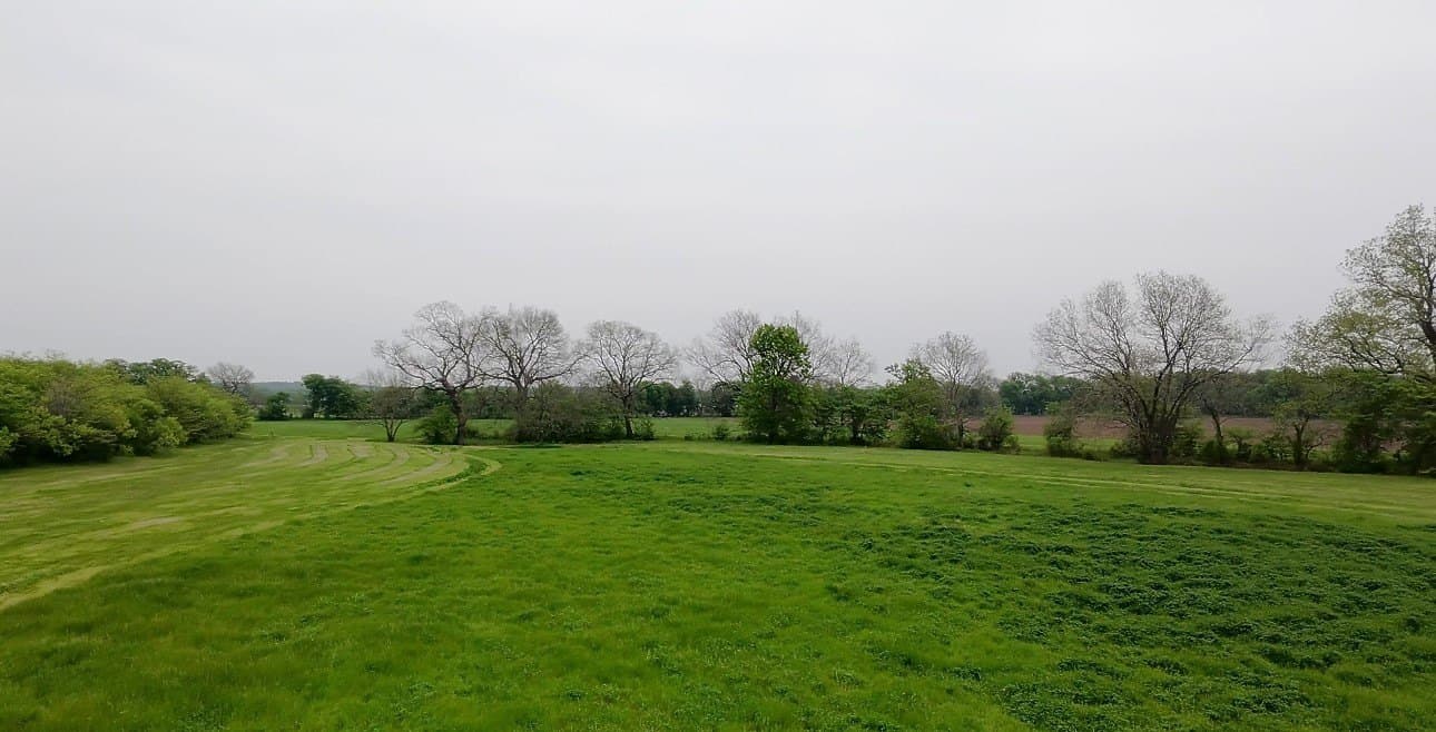 38 acres in Cooke County gallery image 2