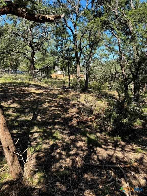 0.25 acres in Comal County gallery image 3