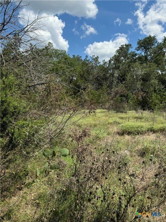 0.25 acres in Comal County - photo 14