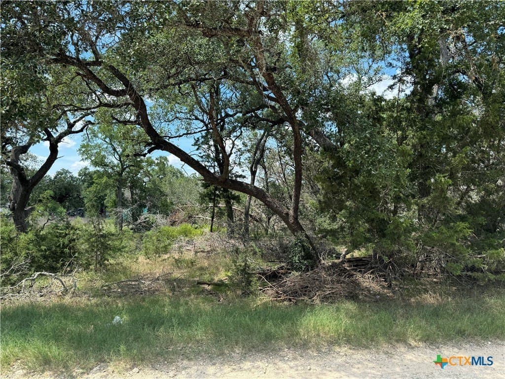 0.25 acres in Comal County - photo 6