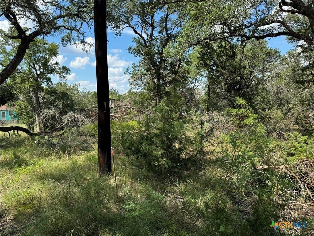 0.25 acres in Comal County - photo 13