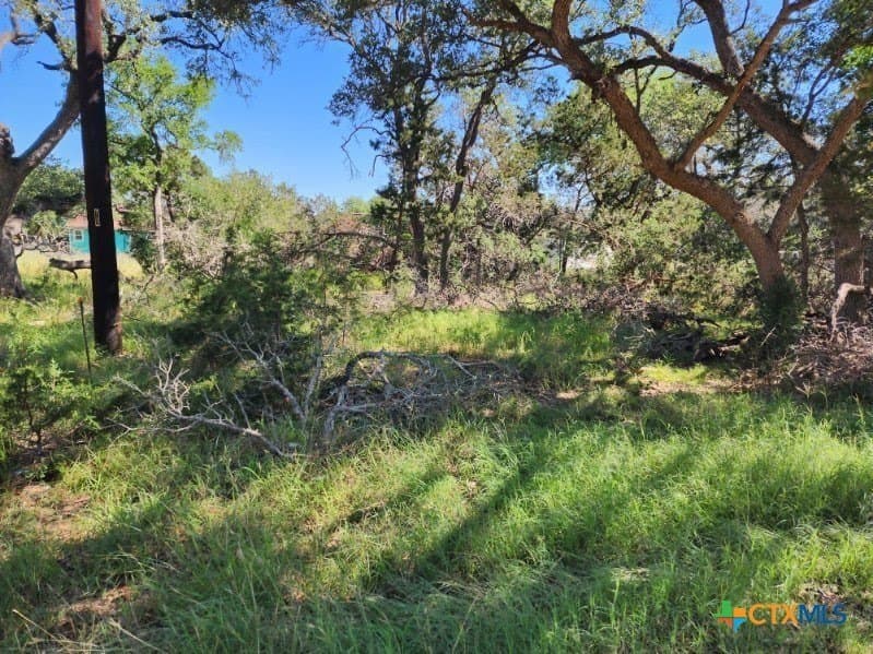 0.25 acres in Comal County - photo 7
