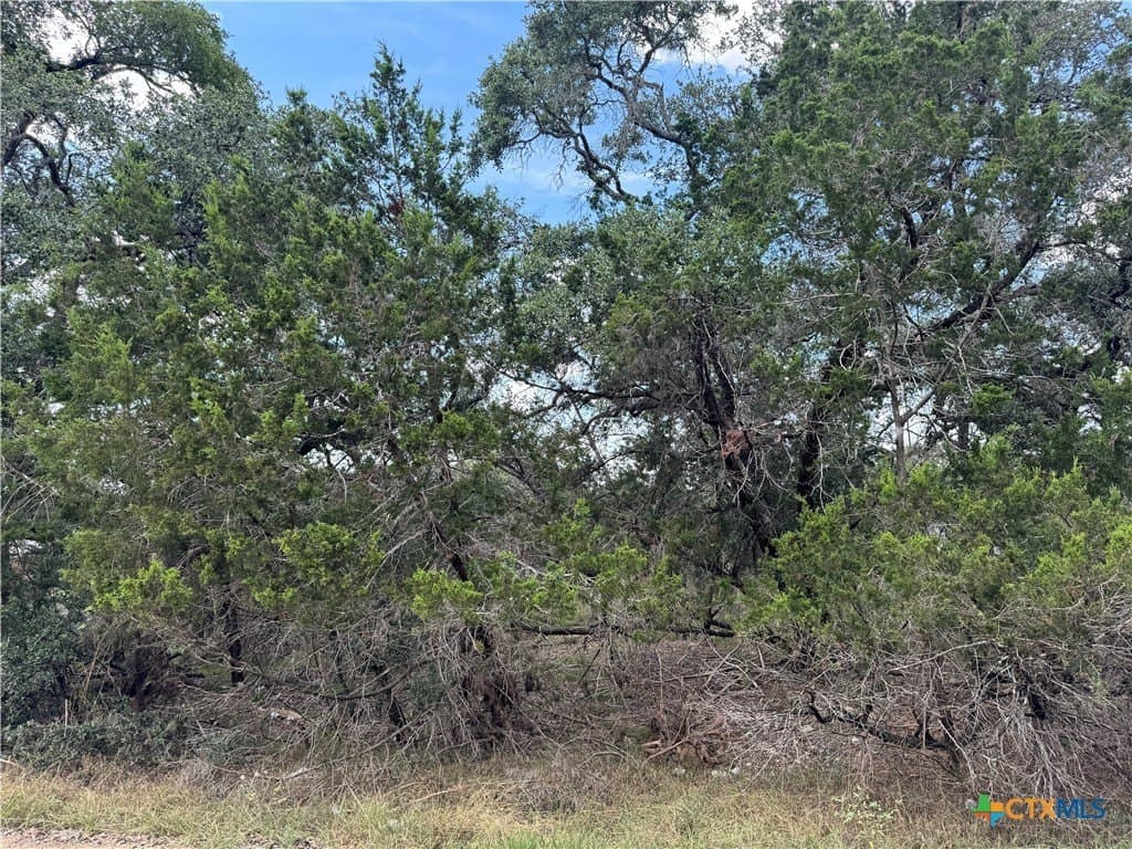 0.25 acres in Comal County - photo 8