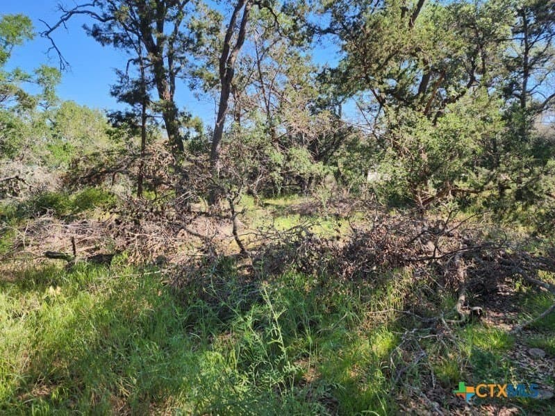 0.25 acres in Comal County - photo 12