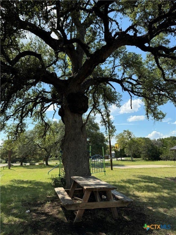 0.25 acres in Comal County - photo 23