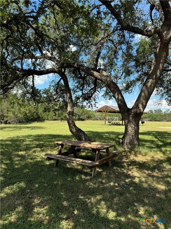 0.25 acres in Comal County - photo 26