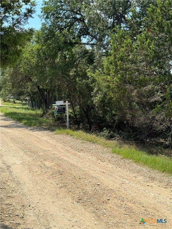 0.25 acres in Comal County - photo 15