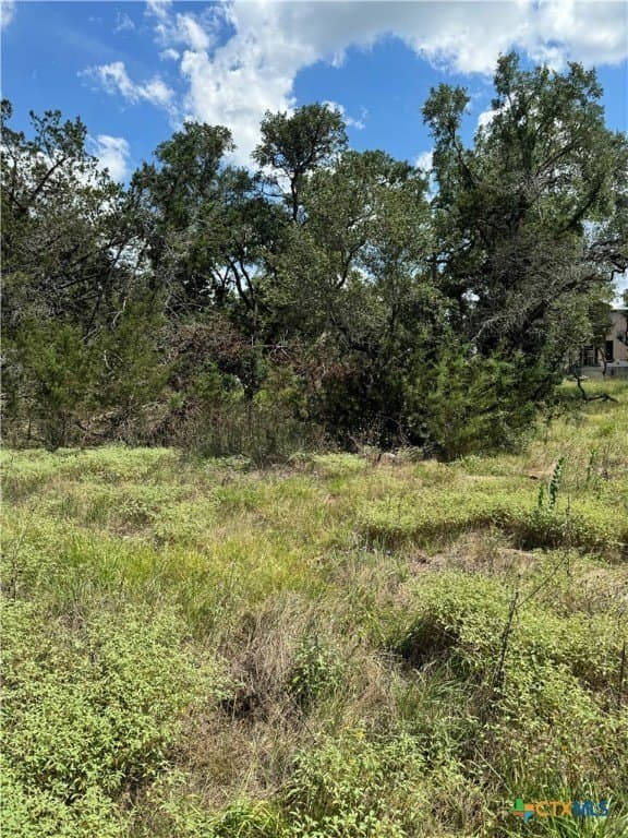 0.25 acres in Comal County - photo 10