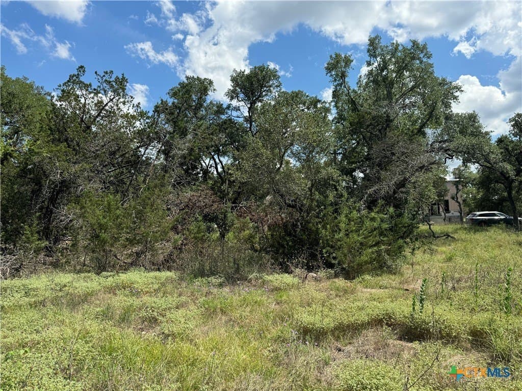 0.25 acres in Comal County - photo 9