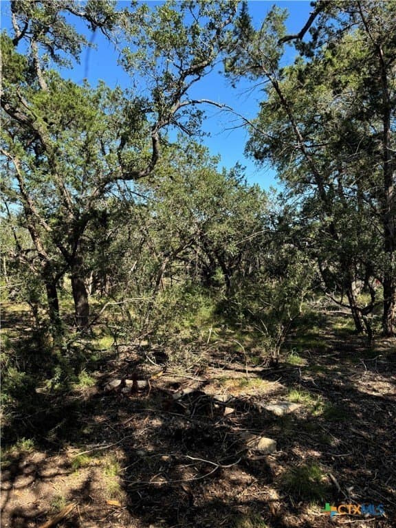 0.25 acres in Comal County gallery image 4