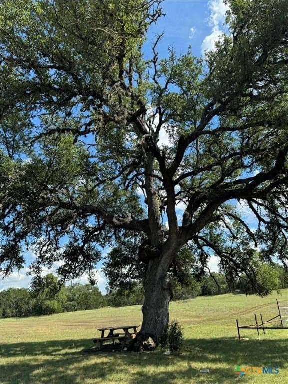 0.25 acres in Comal County - photo 22