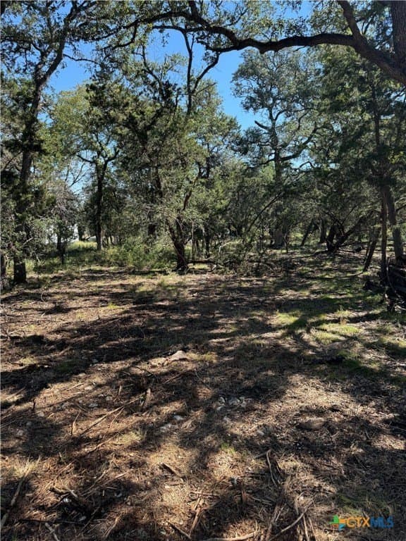 0.25 acres in Comal County gallery image 2