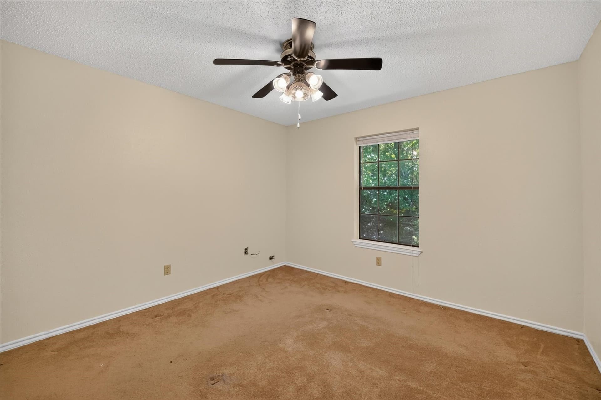 12 acres in Collin County - photo 33