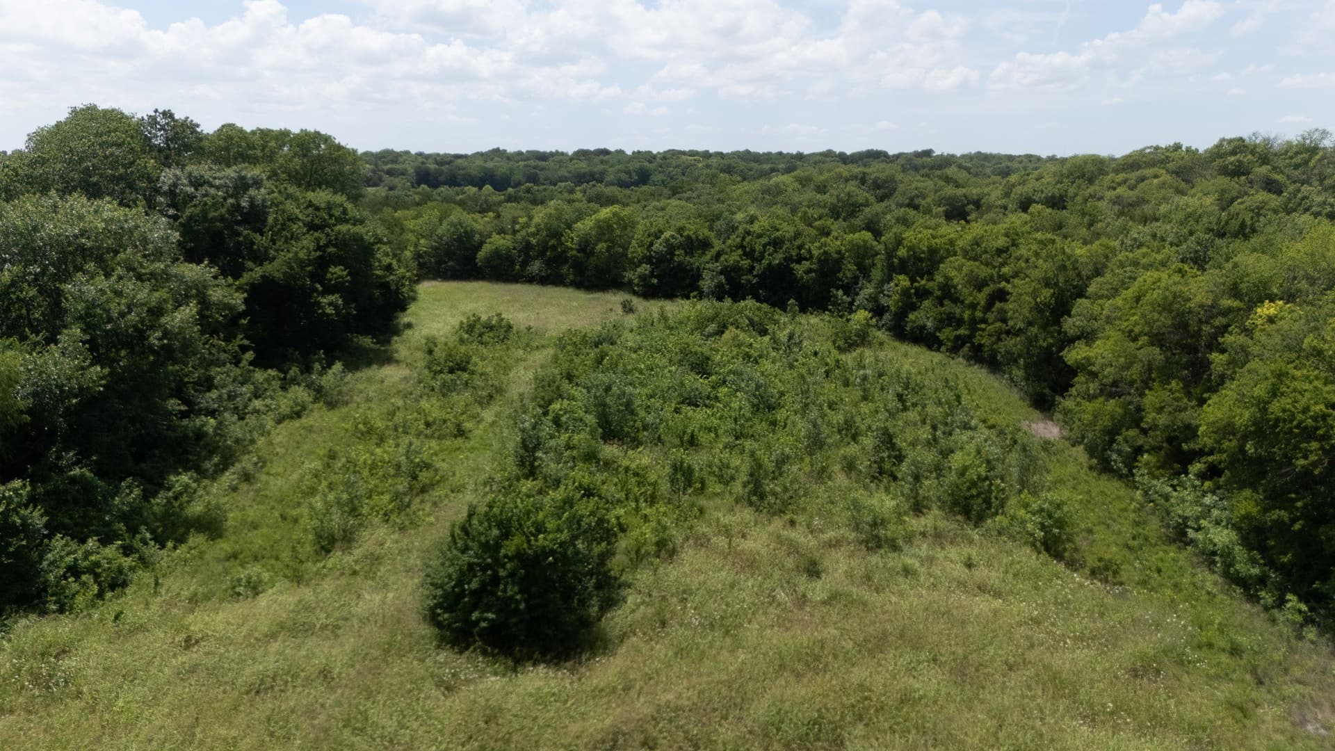 12 acres in Collin County - photo 7