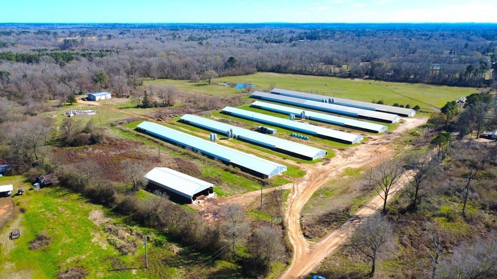 40 acres in Texas County gallery image 2