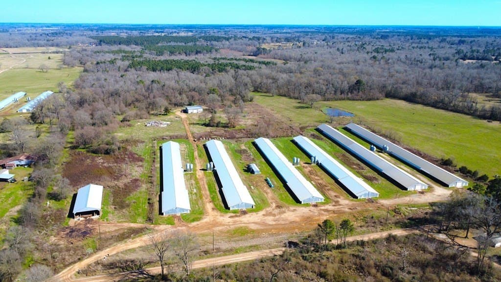 40 acres in Texas County gallery image 3