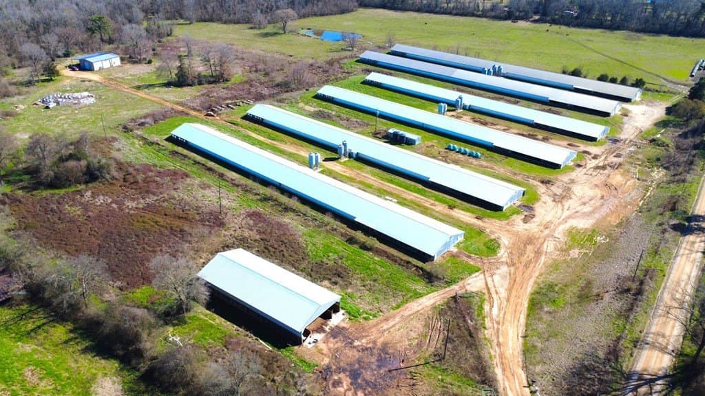 40 acres in Texas County gallery image 4