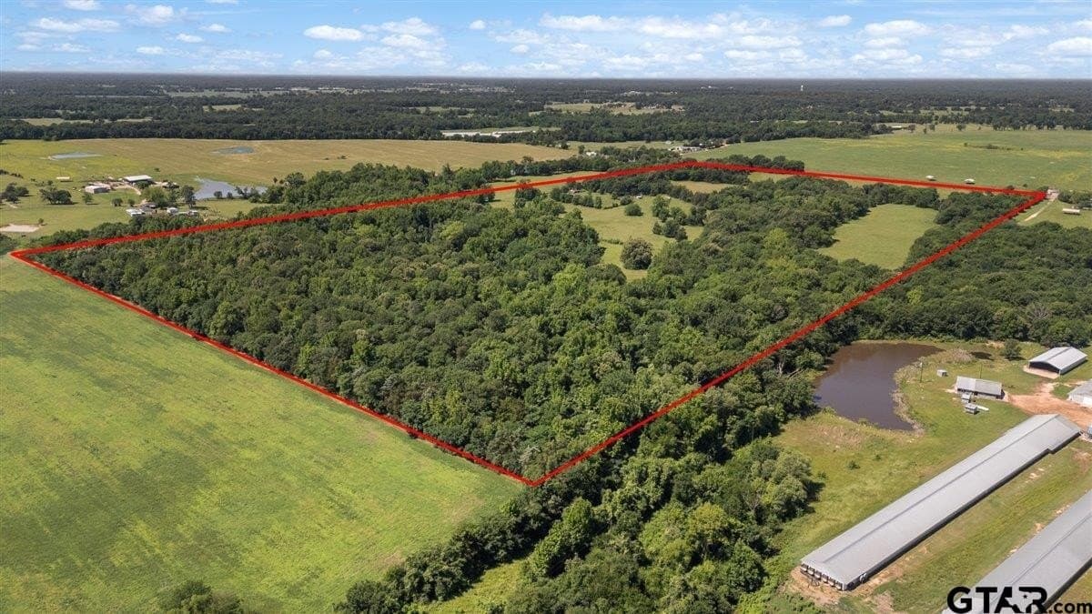 83 acres in Hopkins County gallery image 3