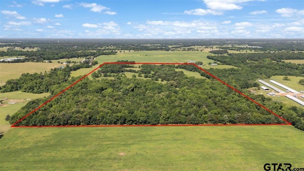 83 acres in Hopkins County gallery image 2