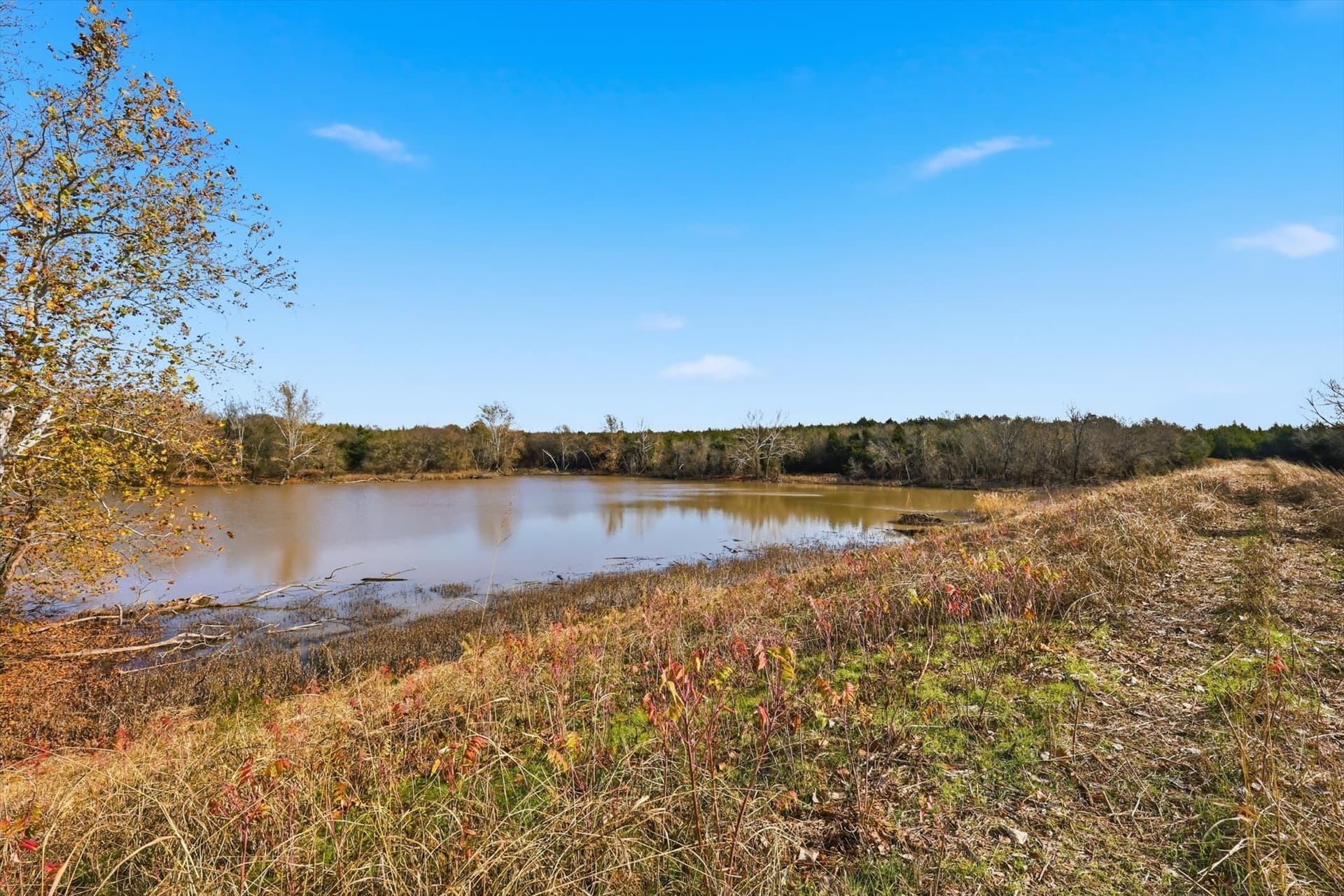 274.48 acres in Collin County - photo 9