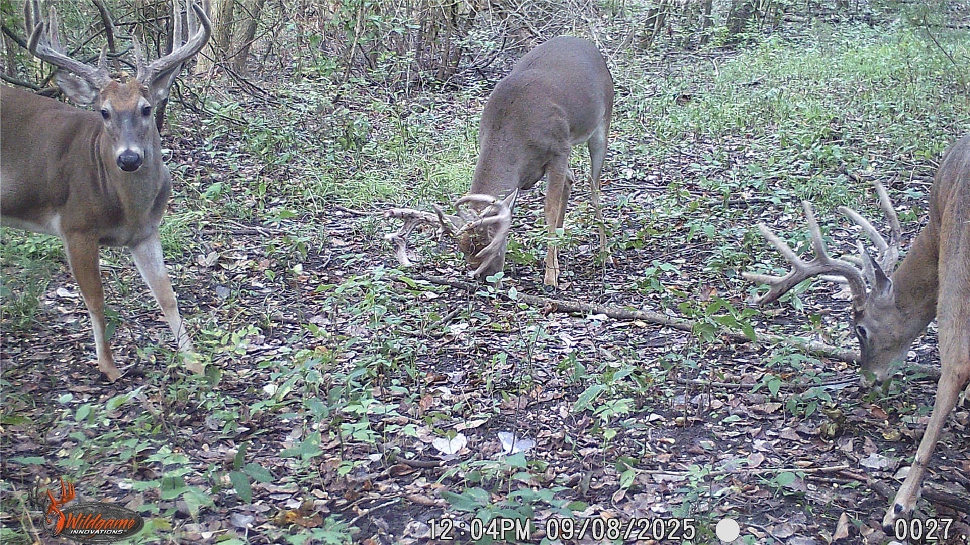 274.48 acres in Collin County - photo 29