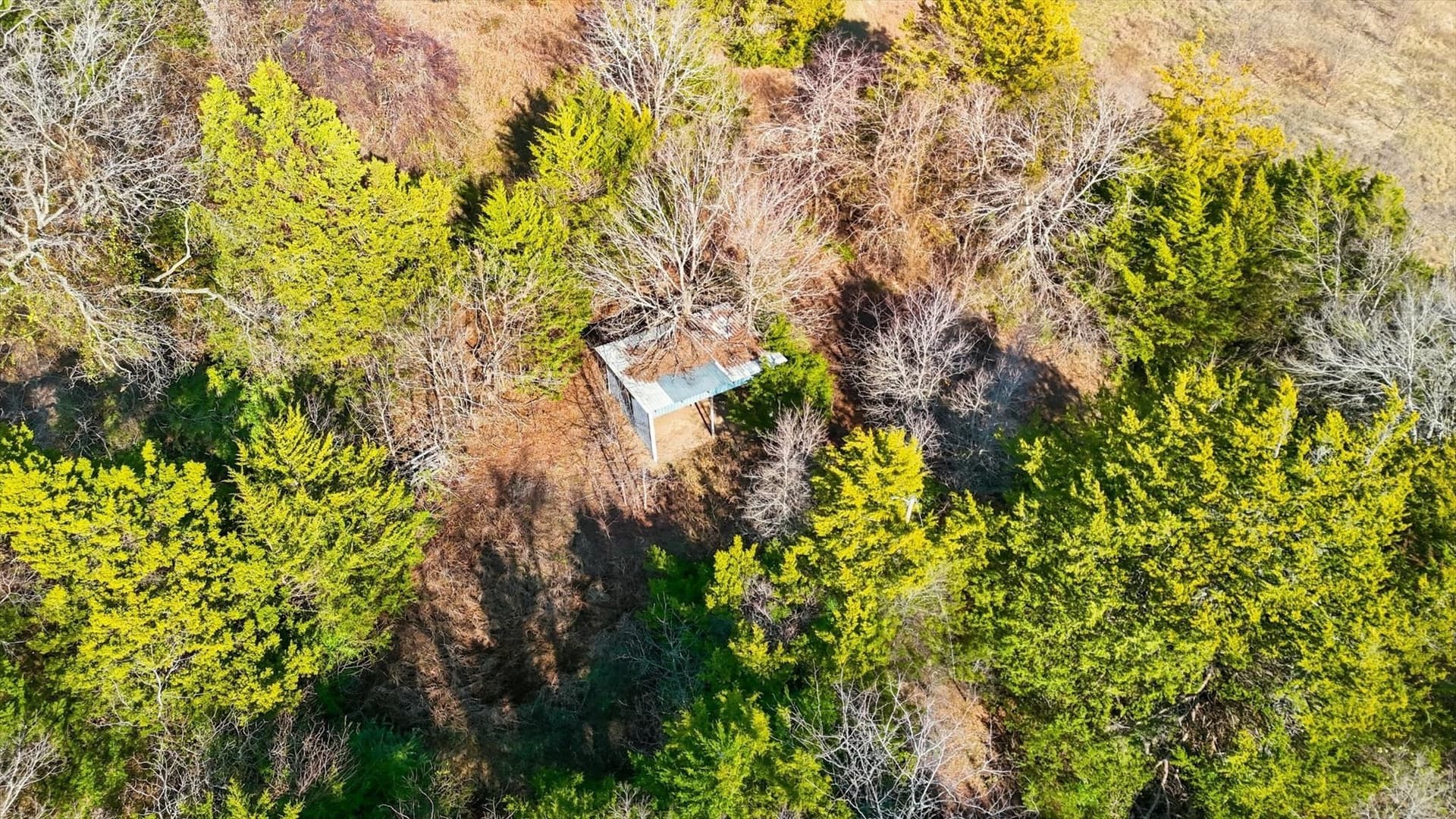 274.48 acres in Collin County - photo 25