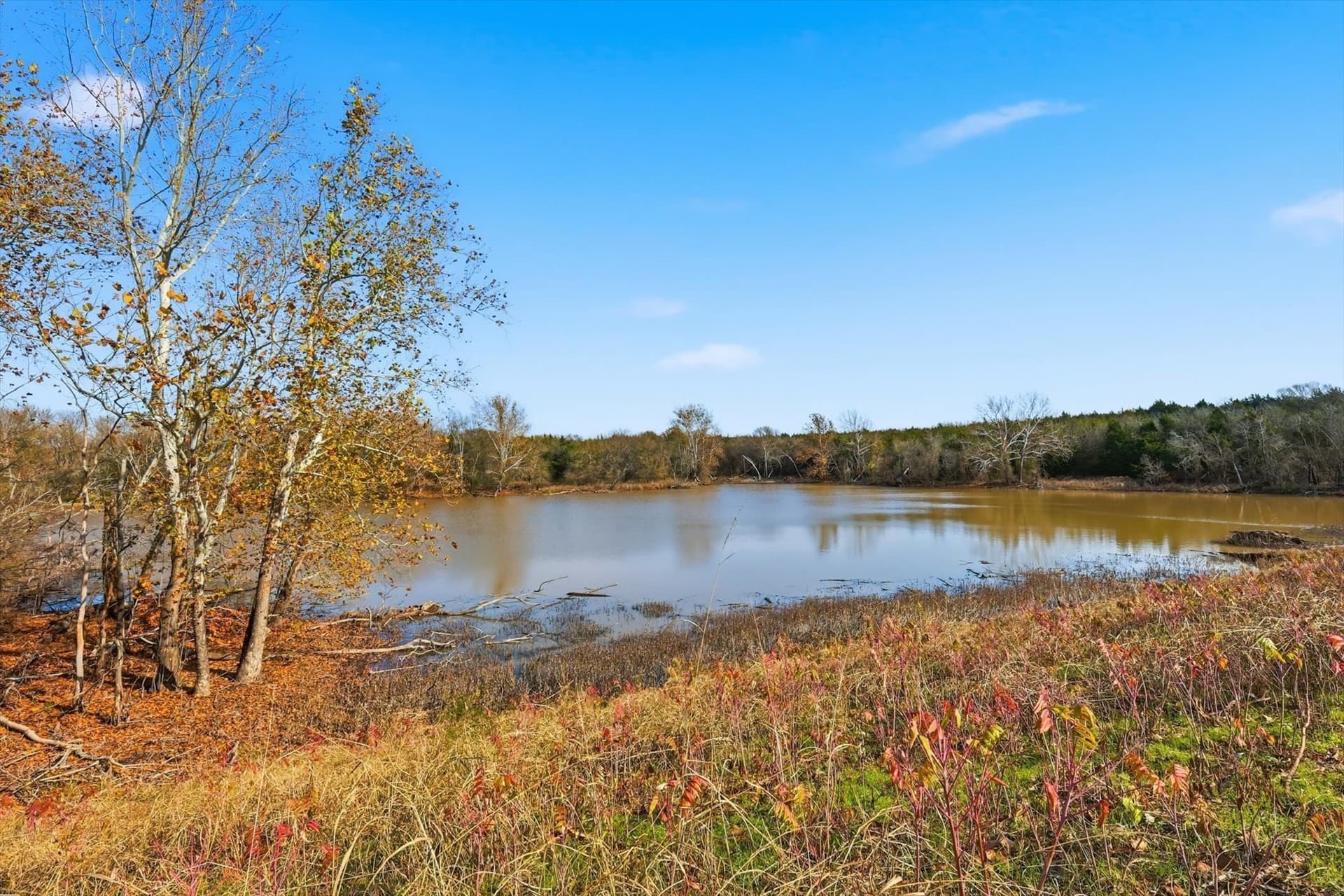 274.48 acres in Collin County - photo 10