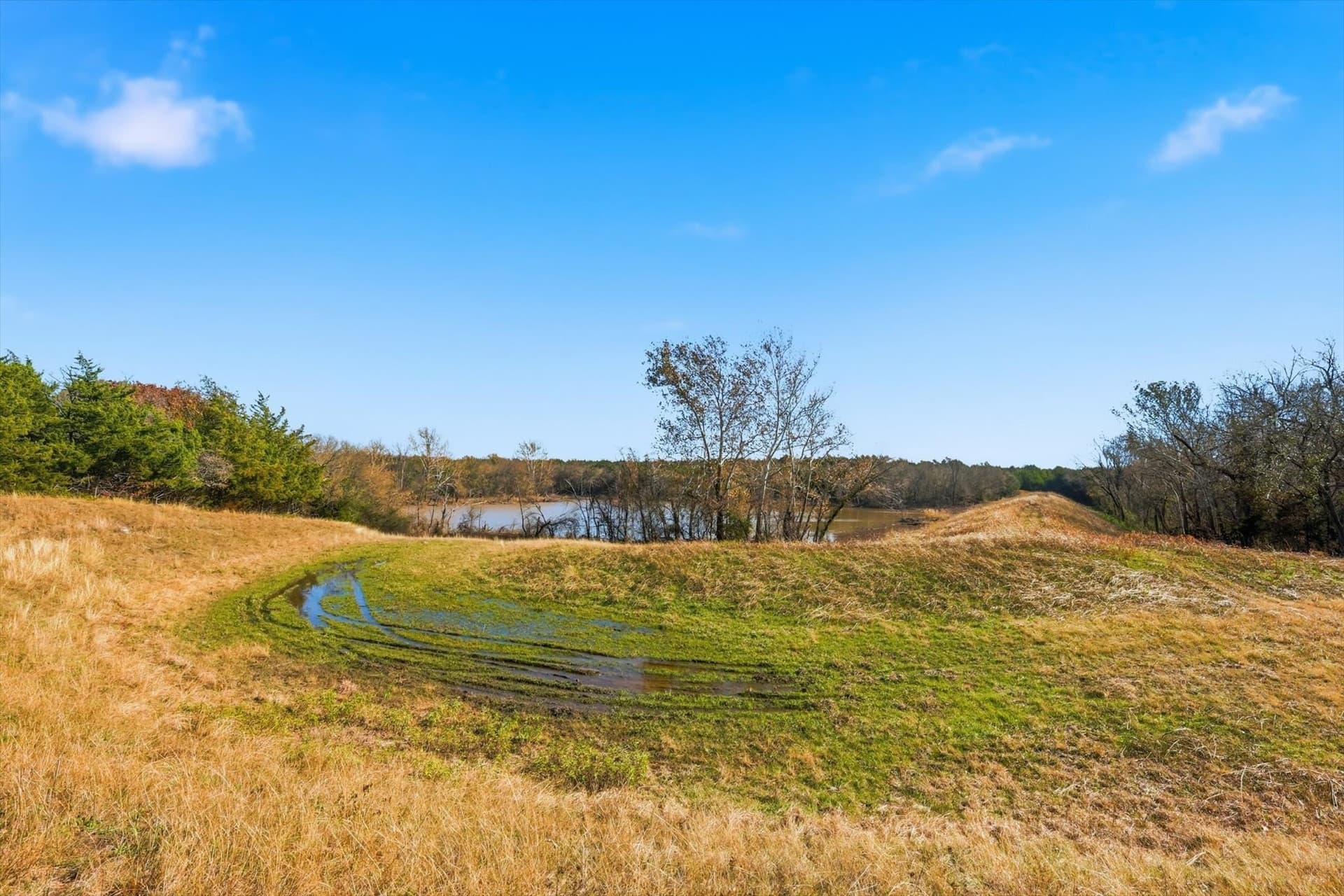 274.48 acres in Collin County - photo 8