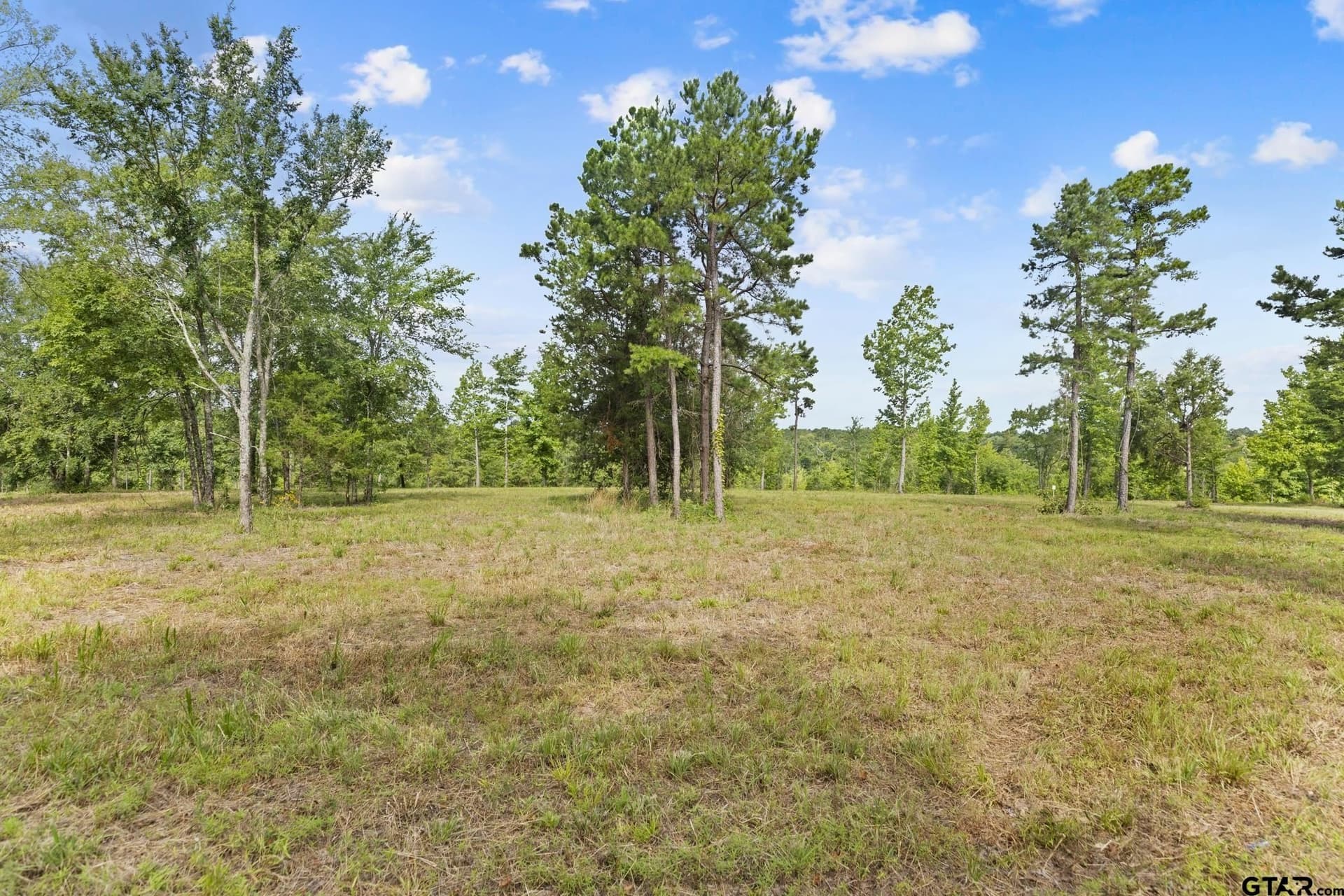 0.61 acres in Smith County gallery image 2