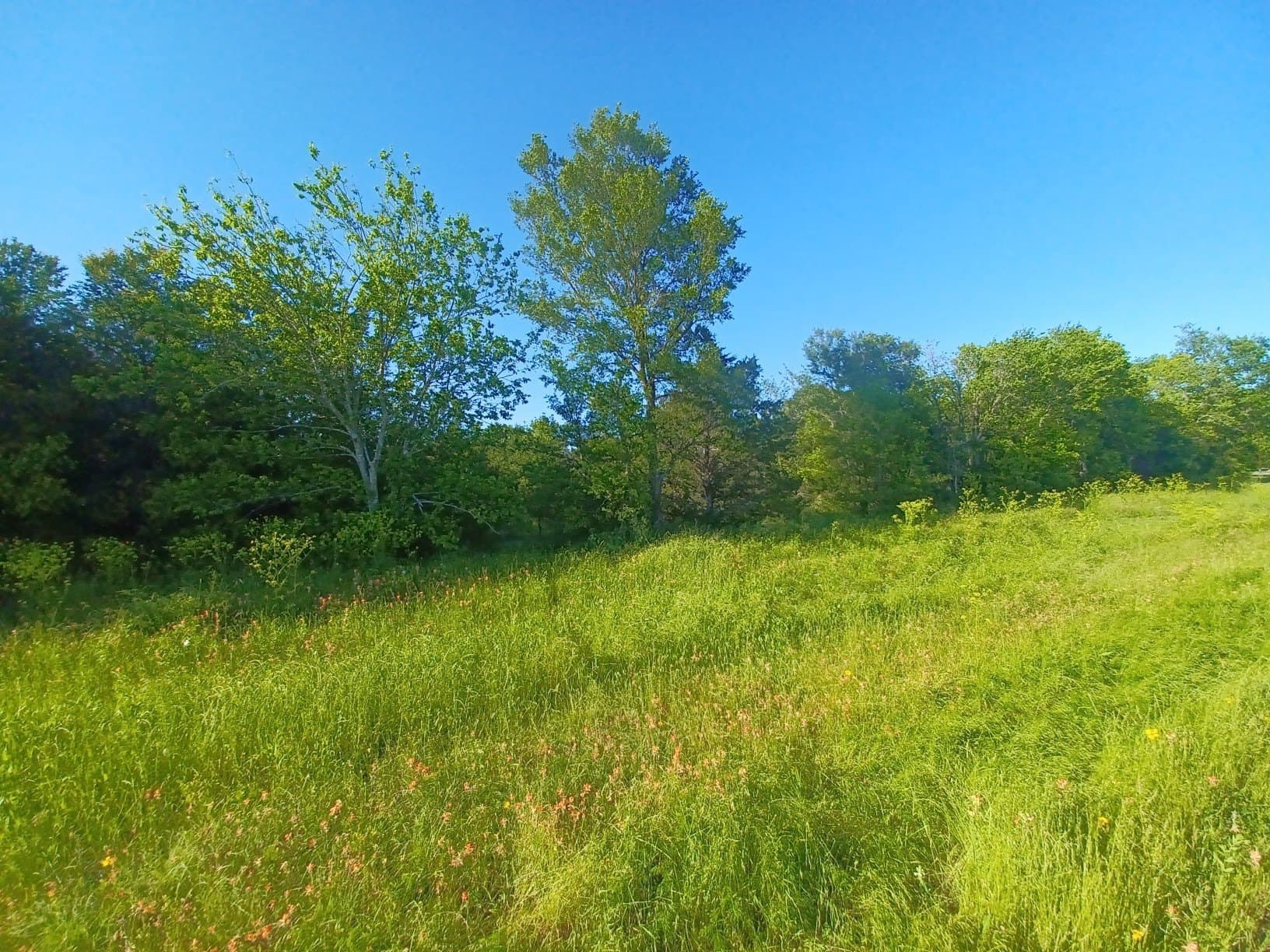 6.71 acres in Limestone County