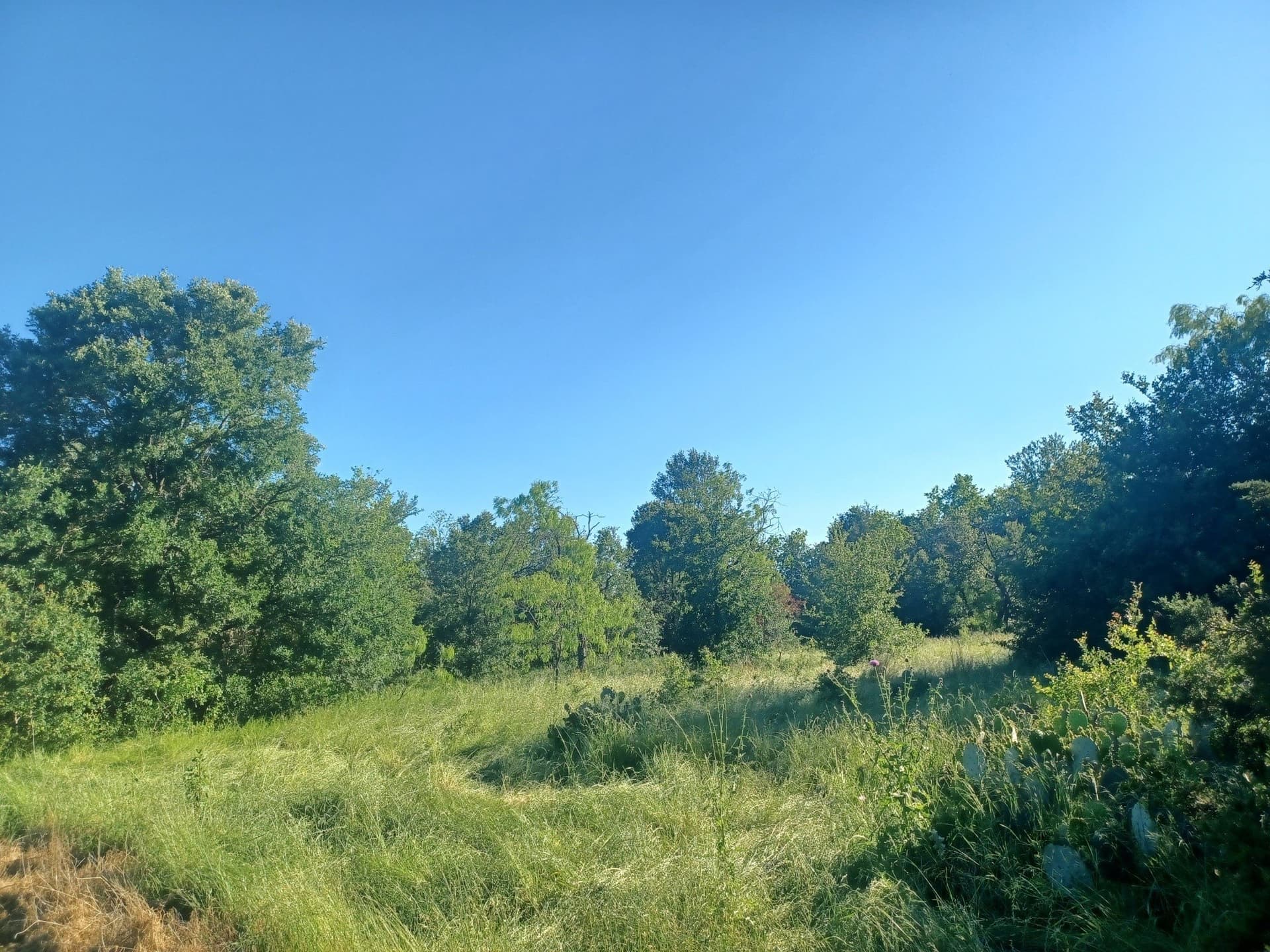 6.71 acres in Limestone County - photo 2