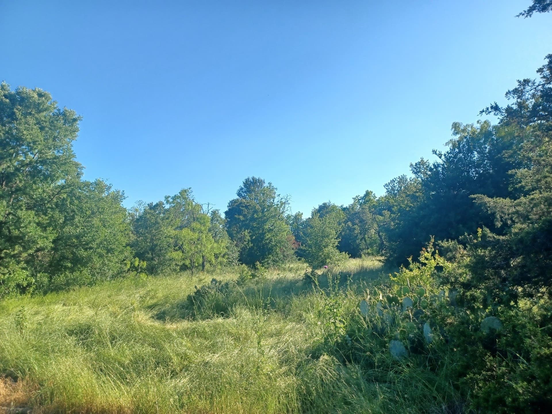 6.71 acres in Limestone County - photo 3