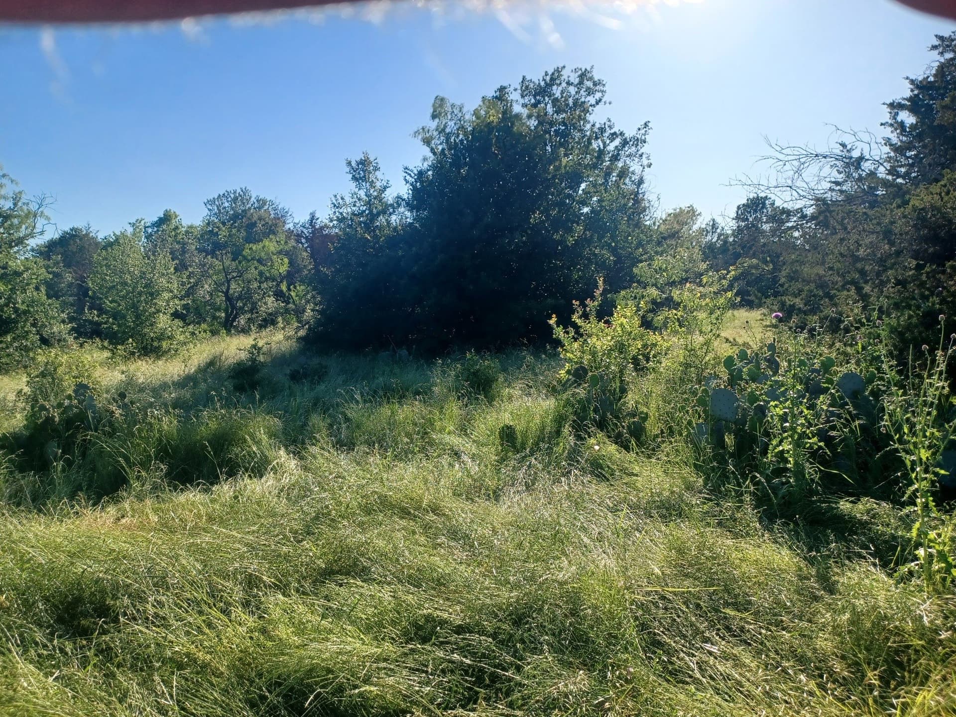 6.71 acres in Limestone County - photo 4
