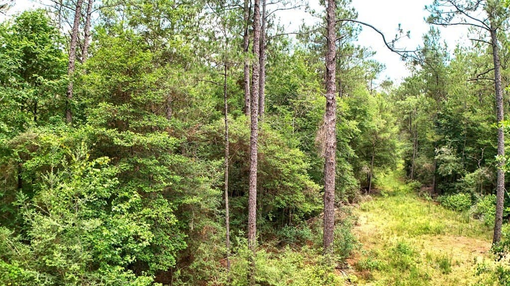 27.36 acres in Texas County - photo 10