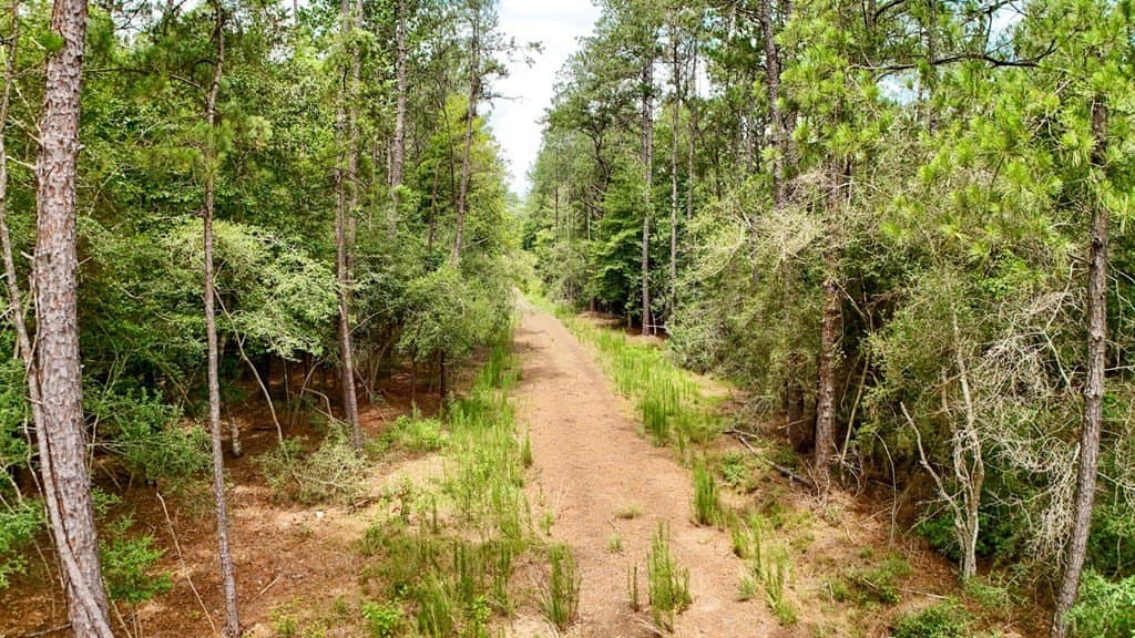 27.36 acres in Texas County - photo 11