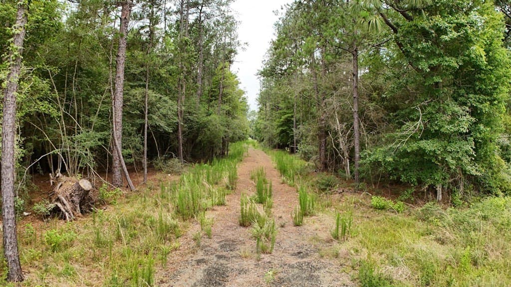 27.36 acres in Texas County - photo 13