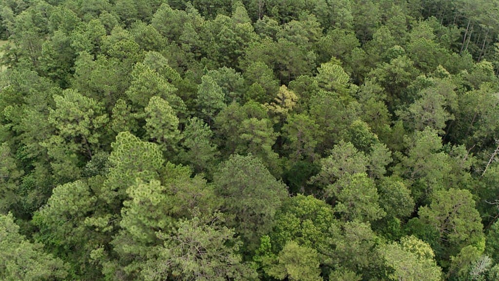 27.36 acres in Texas County - photo 9