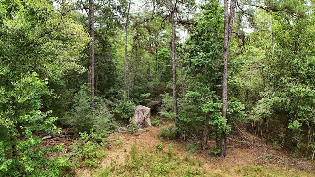 27.36 acres in Texas County - photo 14