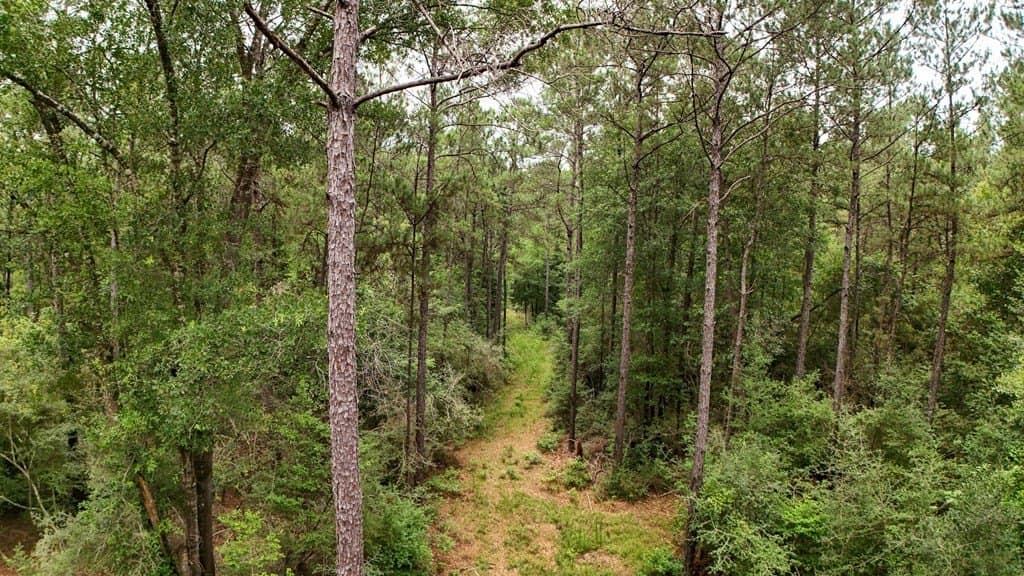 27.36 acres in Texas County - photo 15