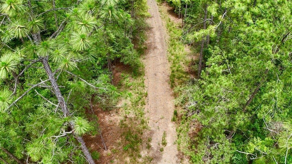 27.36 acres in Texas County - photo 12
