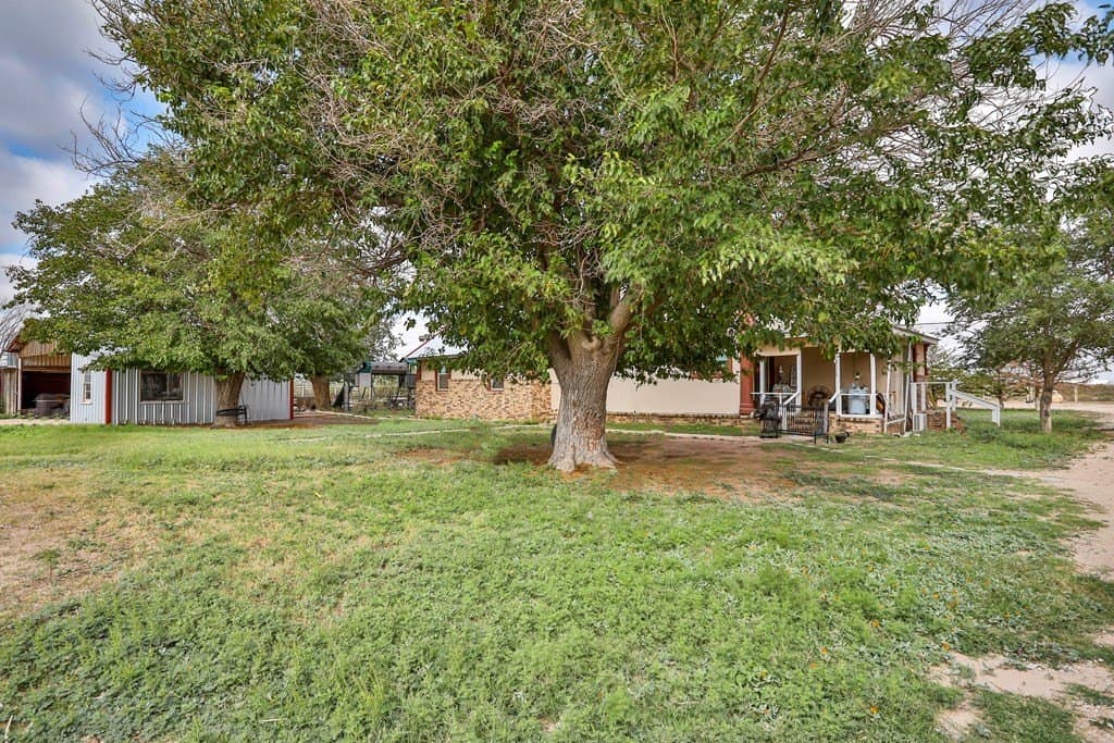 14.72 acres in Ector County gallery image 2
