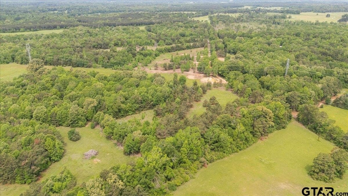 2 acres in Panola County - photo 7