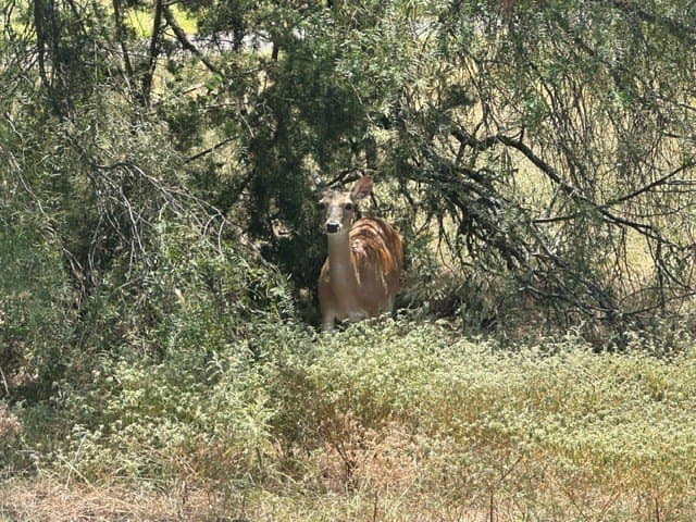 0.13 acres in Hill County - photo 4
