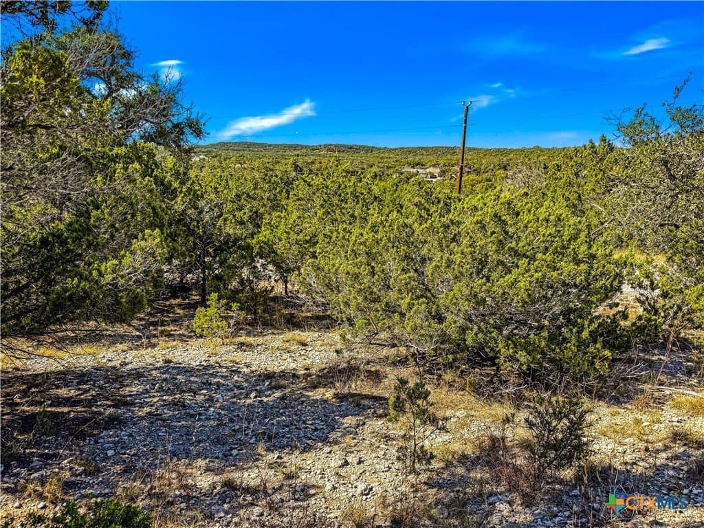 0.53 acres in Comal County gallery image 3