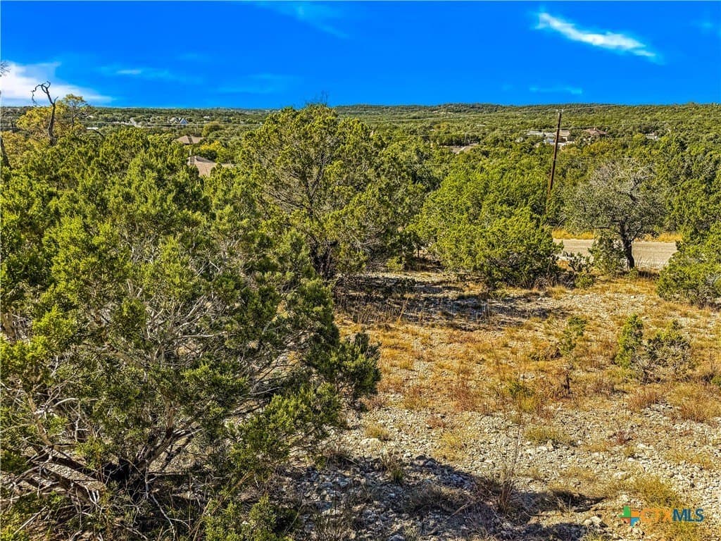 0.53 acres in Comal County gallery image 4