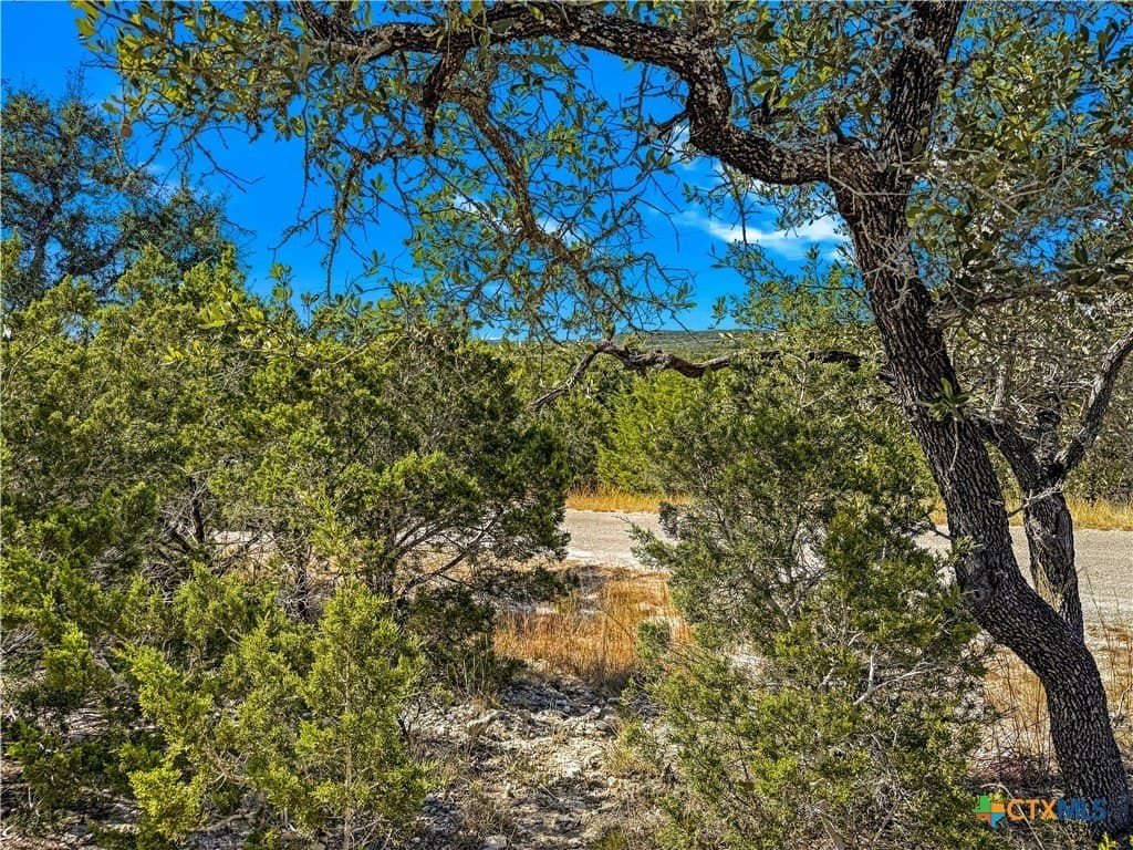 0.53 acres in Comal County gallery image 2