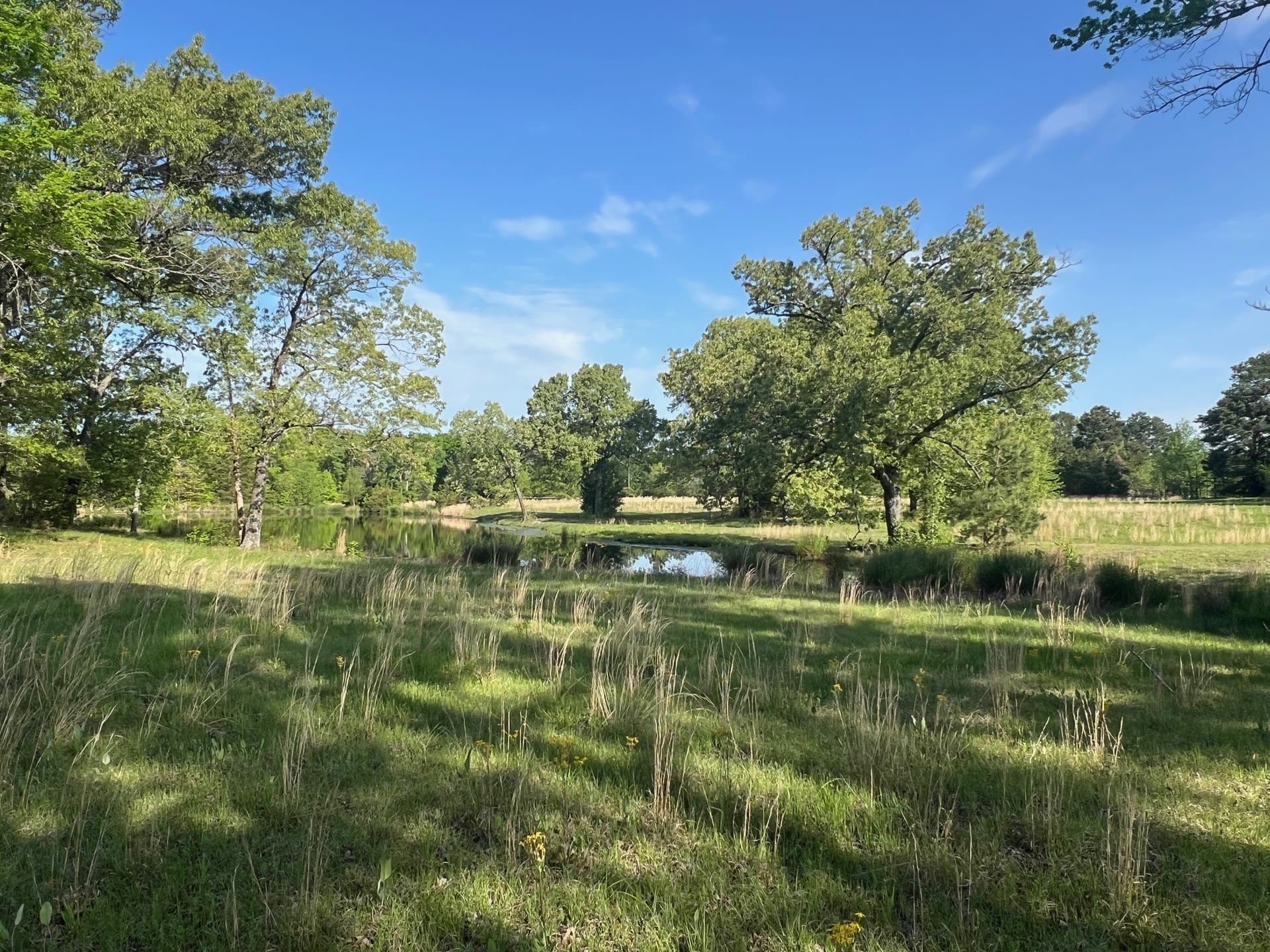 30 acres in Titus County - photo 2