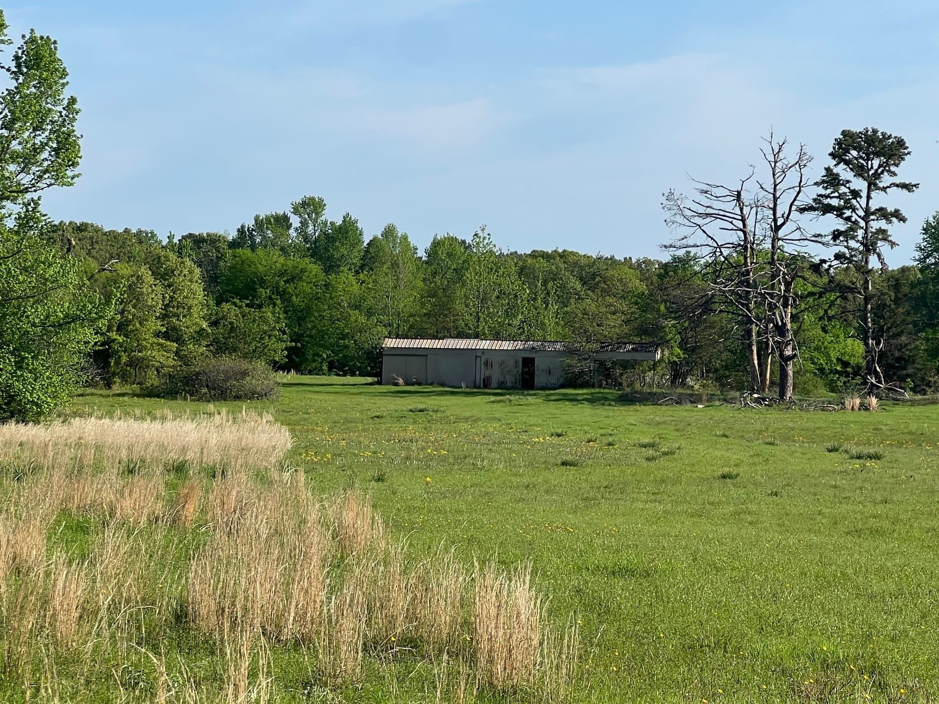 30 acres in Titus County - photo 5