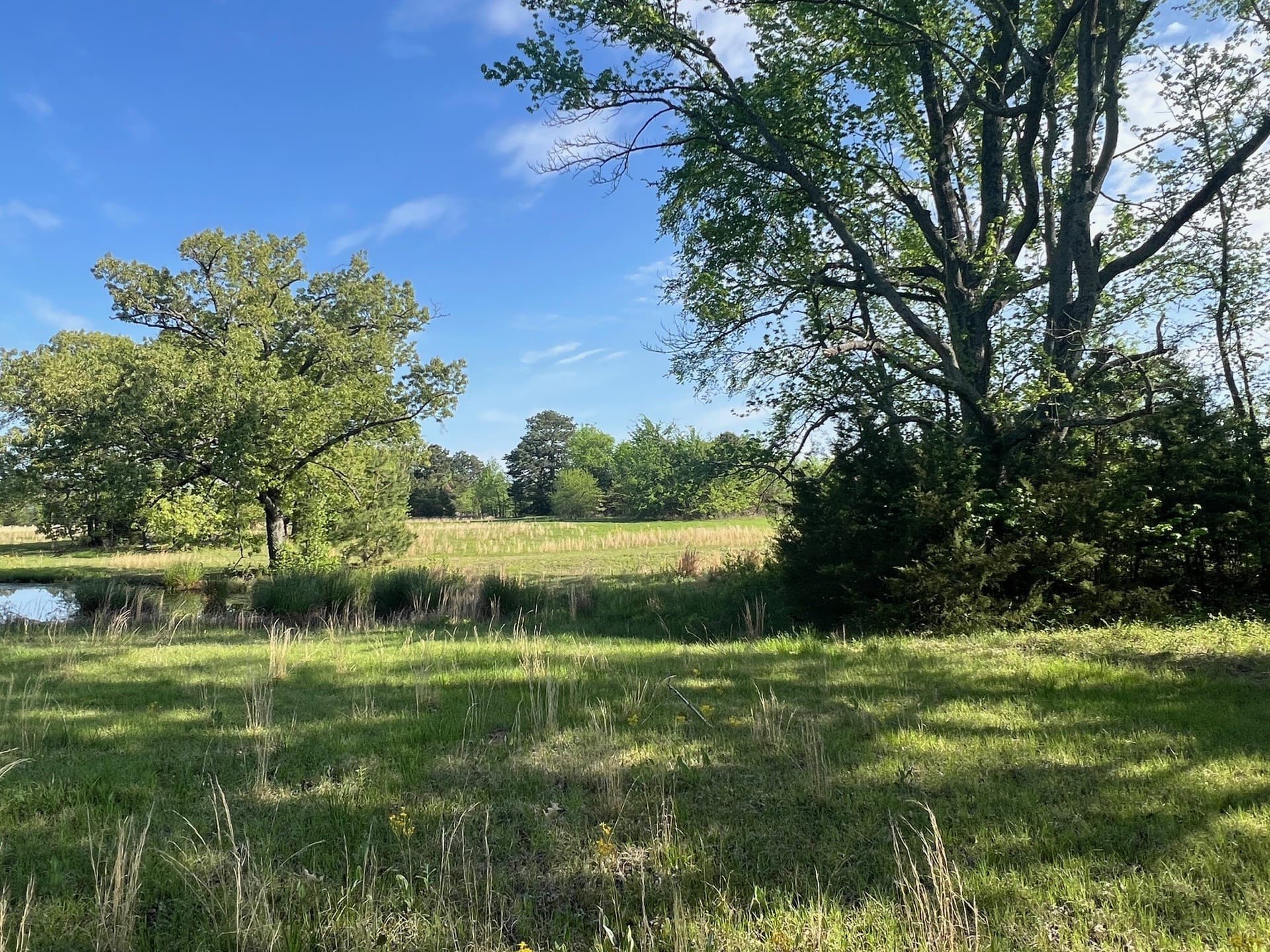 30 acres in Titus County
